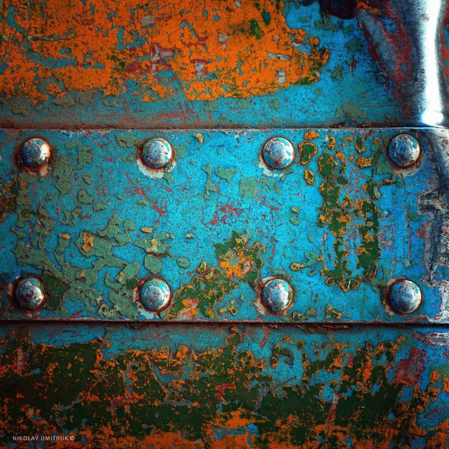 макро, николай дмитрук