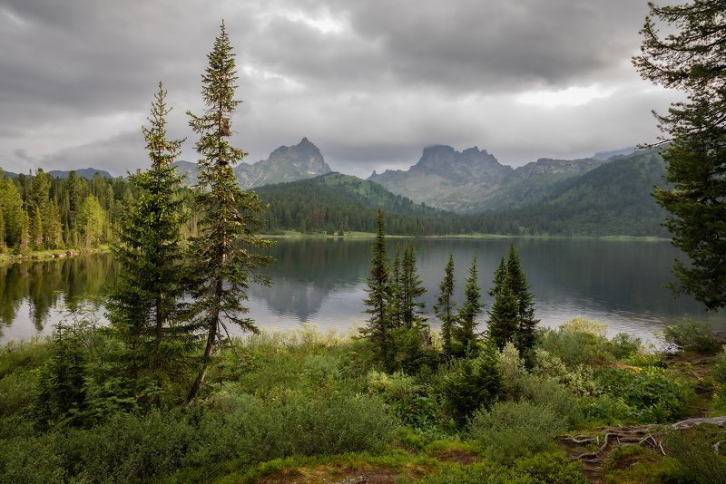 природный парк ергаки, озеро светлое, западный саян, горы, ели, пики, птица, звездный, лето, тучи, отражения Озерцо с переменчивым настроением... фото превью