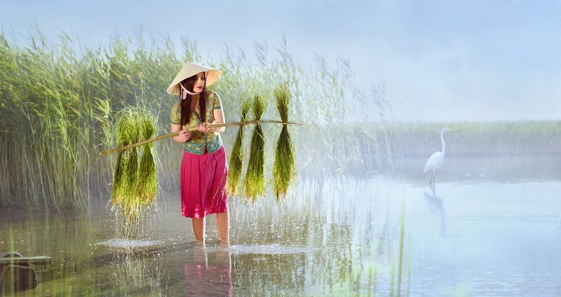 девушка, женский портрет, сборщица риса, поле, вода, вьетнам, азия, трава, шляпа, небо, трава, жанр, постановка Сборщица рисаphoto preview