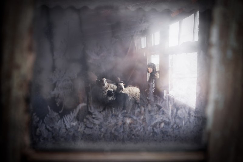 #ural #snow #snowflake #yusupovapro #yusupovaalicja #sheep #frozen Ural through the windowphoto preview