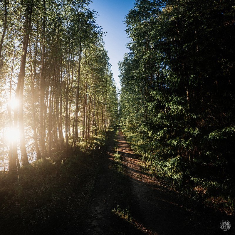озеро, вода, карьер, лето, природа, лес, деревья, небо, день, дорога, тропа, берег, пейзаж Тропа в лесахphoto preview