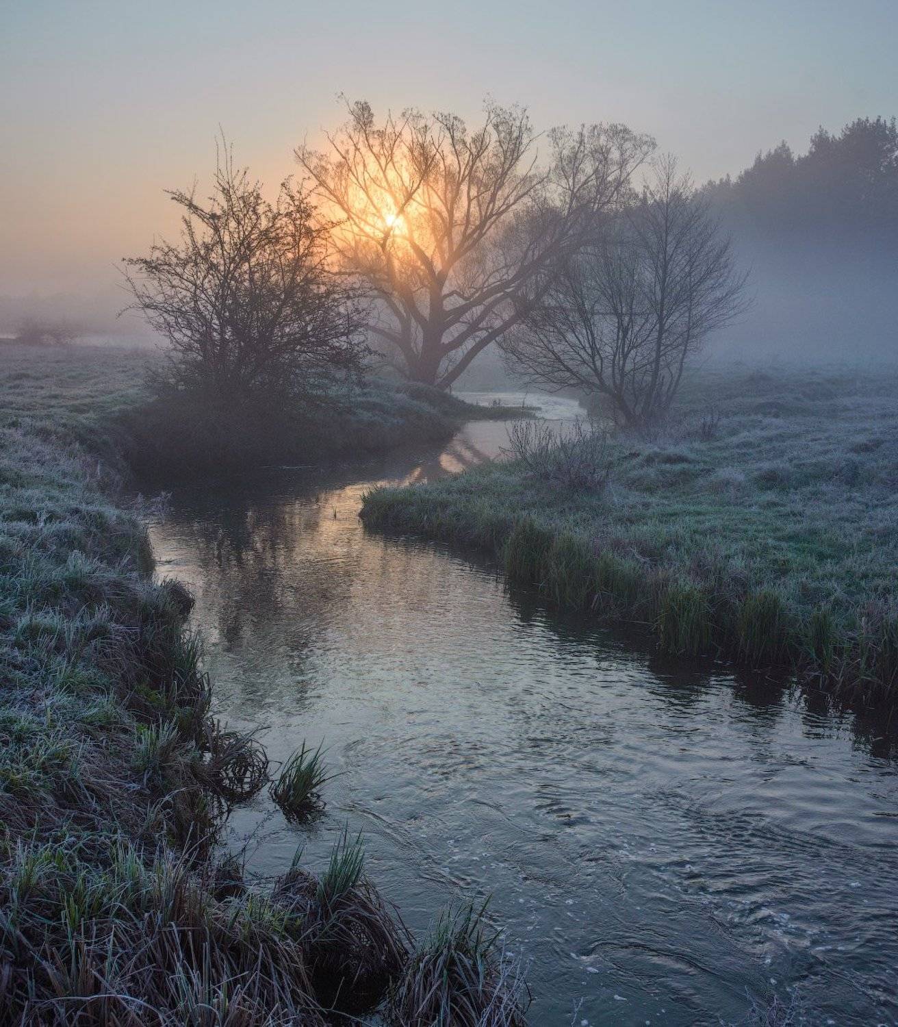 , Сергей Добровольский