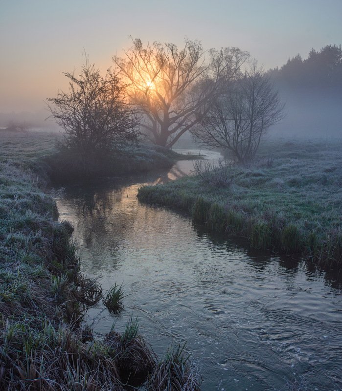 Утро...photo preview