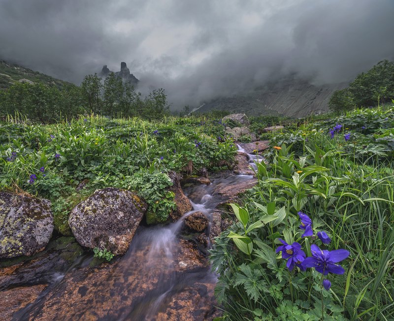 природа, пейзаж, горы, цветы, небо ***photo preview