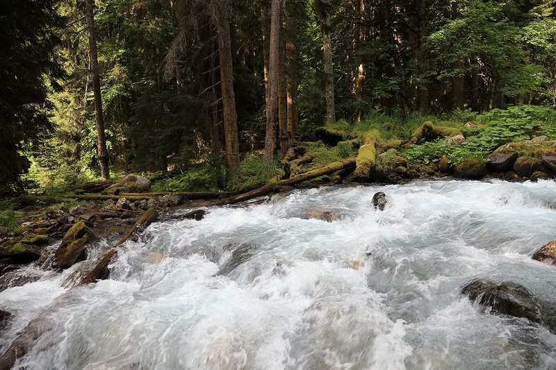 тебердинский, заповедник, кчр, карачаево, черкессия, домбай photo preview