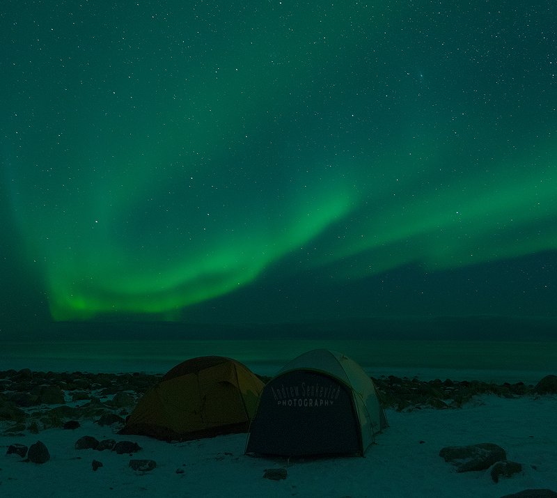 лофотены, северное сияние, lofoten, aurora Сияние 6, с палатками :)photo preview