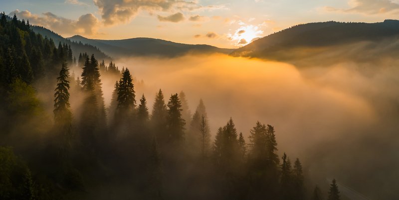 карпаты, туман, рассвет Запах осениphoto preview