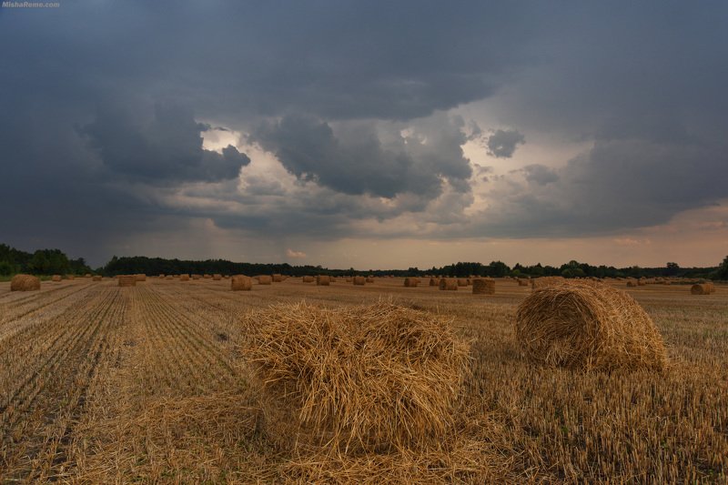 Good season..photo preview