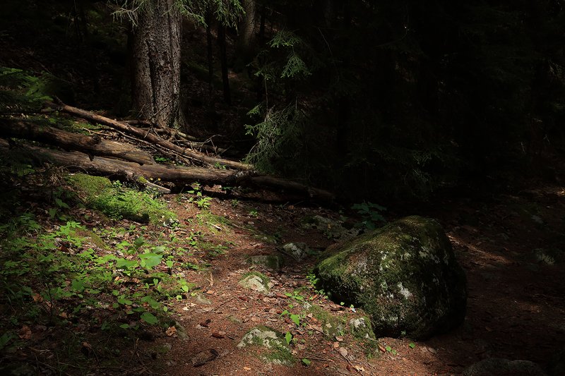 тебердинский, заповедник, кчр, карачаево, черкессия, домбай photo preview