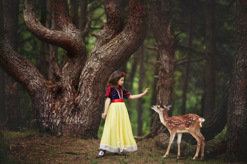 В гостях у сказкиphoto preview