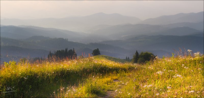 карпаты, закарпатье, Лето в Закарпатье ..photo preview