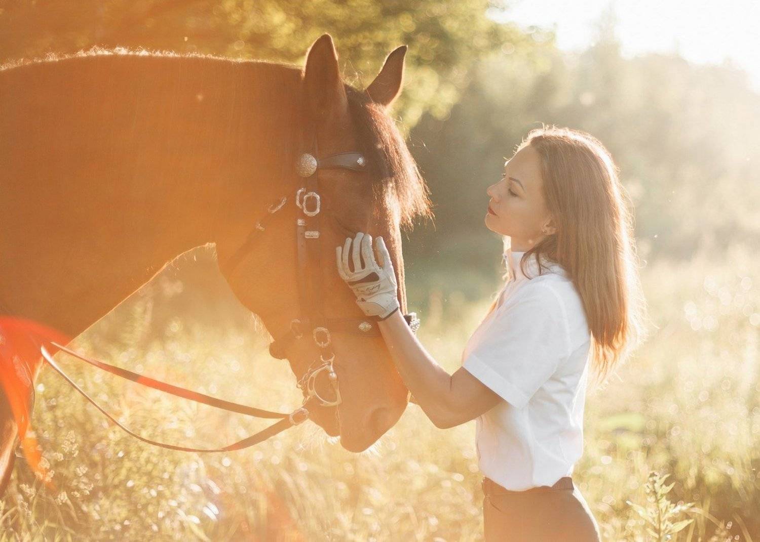 лошади, Элина Хван