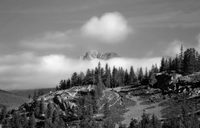 К вершинеphoto preview