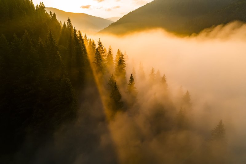 карпаты, туман, рассвет Над туманамиphoto preview