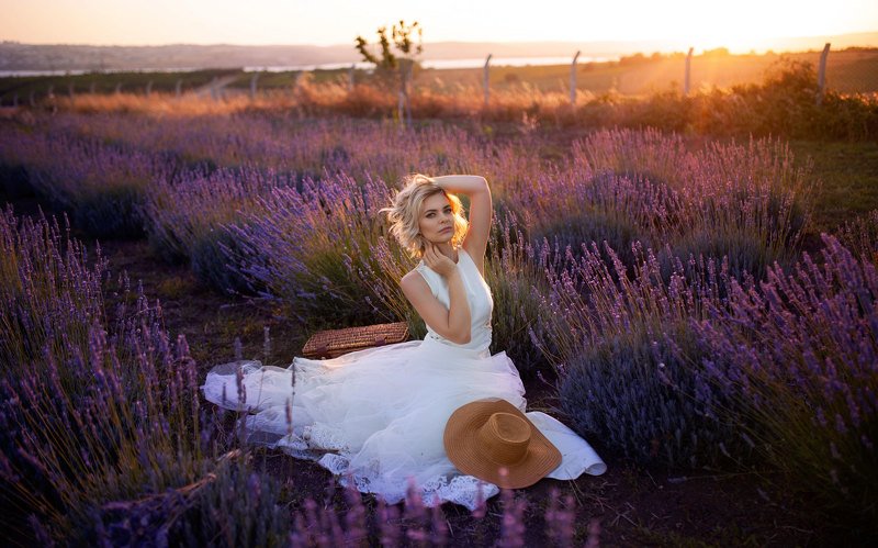 Lavander фото превью