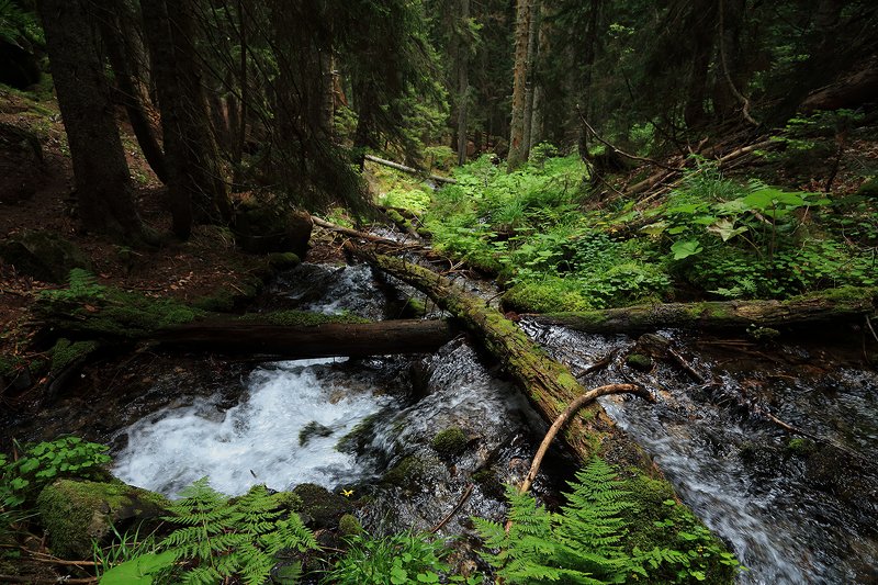 тебердинский, заповедник, кчр, карачаево, черкессия, домбай photo preview