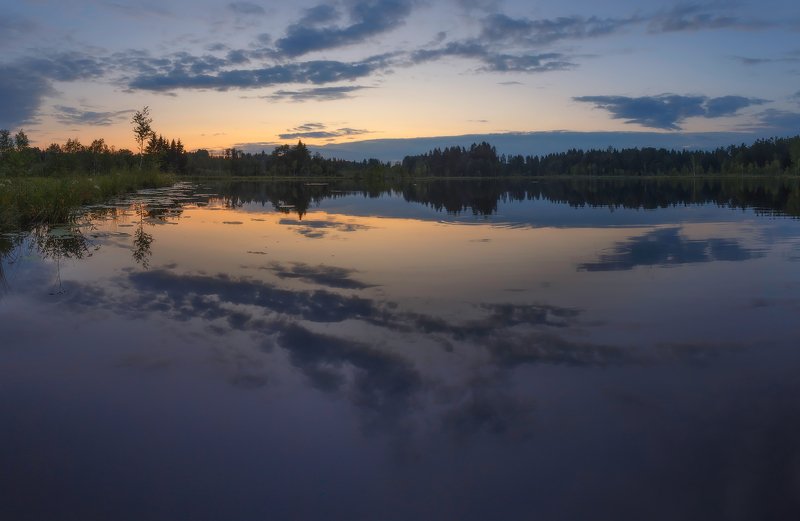 закат, питер, луга Летний закатphoto preview