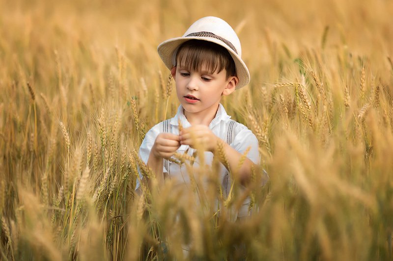 фотопрогулка, детская фотосессия, лето, июнь, дети, детская фотосессия, детский фотограф, фотосессия, радость, мальчик, малыш, счастье, детский и семейный фотограф, детское фото, дети на фото, пшеница, урожай, закат, вечер, восторг Пшеница...photo preview