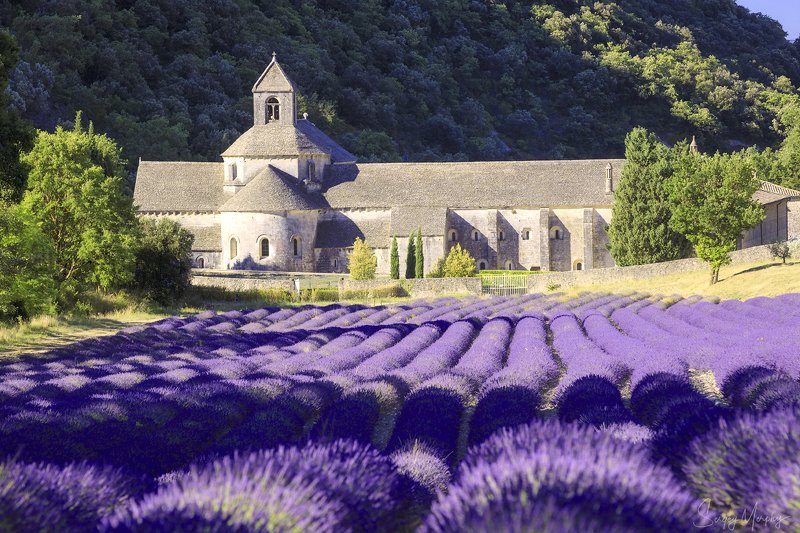 abbaye norte-dame de senanque. provence. Abbaye Norte-Dame de Senanque. Provence.photo preview