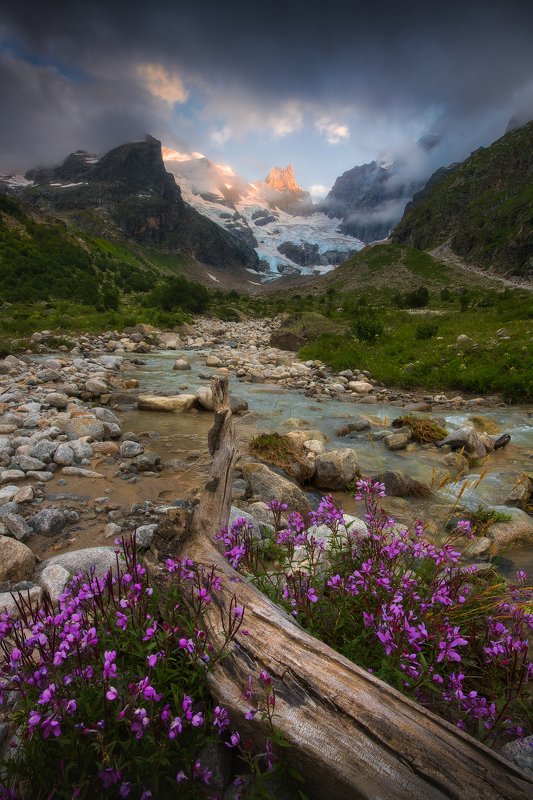 Двойняшкаphoto preview