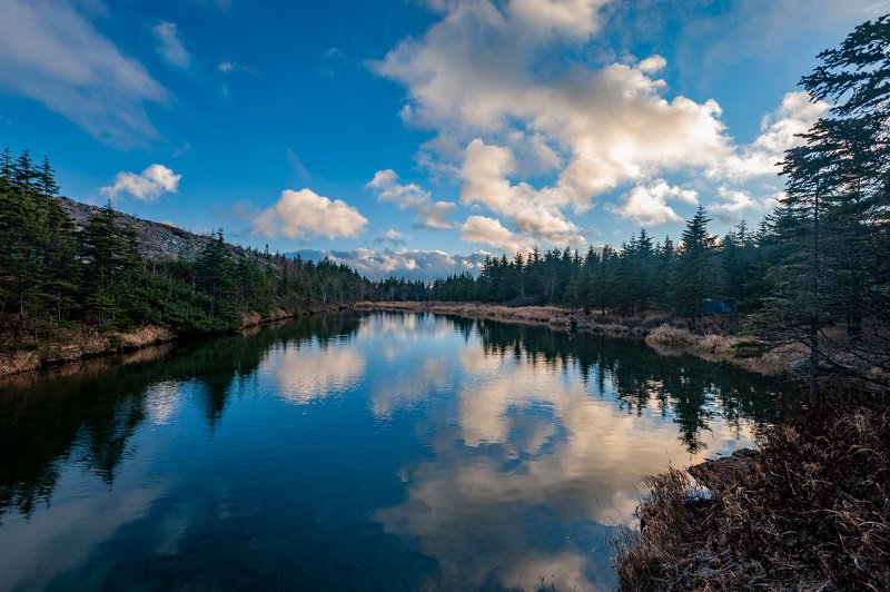 Nature, Forest, Tree, Landscape, Water, Lake, Scenics, Outdoors, Mountain, Sky, Reflection, Summer, Beauty In Nature, Blue, Rock - Object, Green Color, Travel, Tranquil Scene, Autumn Горное озероphoto preview