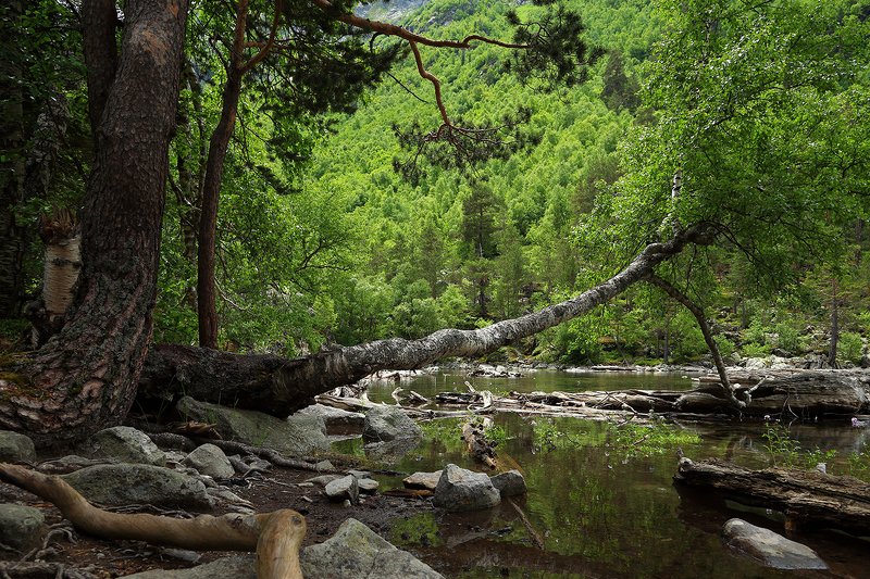 бадукские, озера, тебердинский, заповедник, кчр, карачаево, черкессия, домбай photo preview