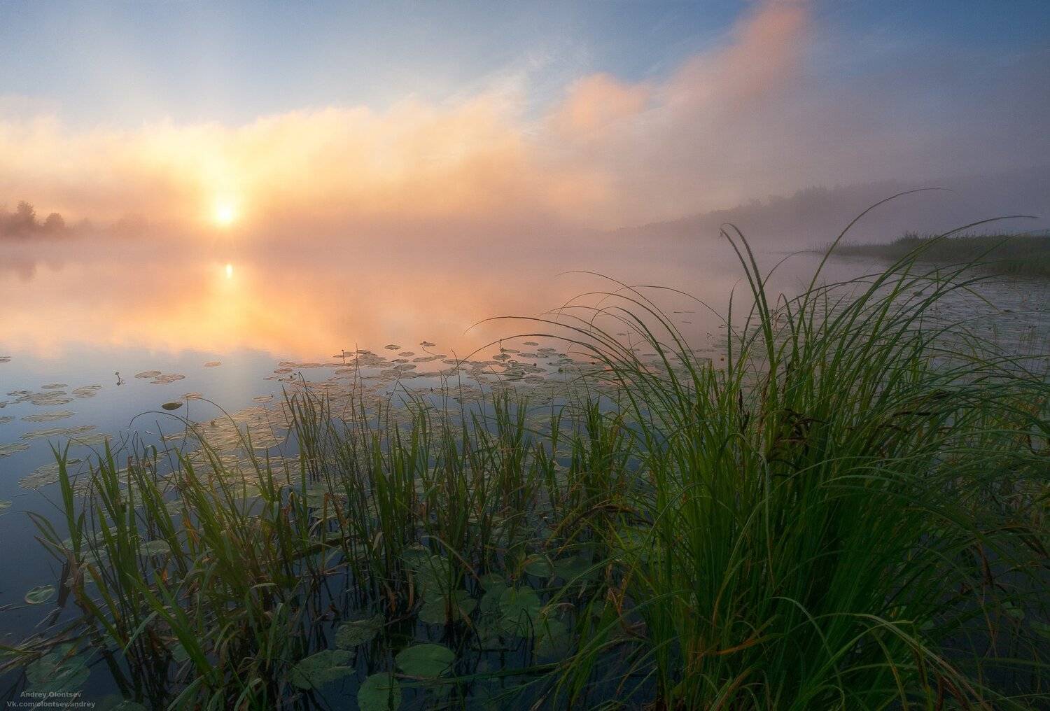 На природе.. Автор: Андрей Олонцев солнце, россия, рассвет, природа, подмосковье, погода, пейзажи, пейзаж, отражение, наукоград, красота, дубна, вода, весна, weather, water, spring, russia, reflection, naukograd, nature, moscow, landscape, dawn, canon, dubna, beauty, Андрей Олонцев