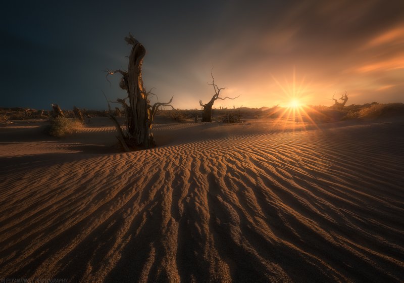 Soul of the Desertphoto preview