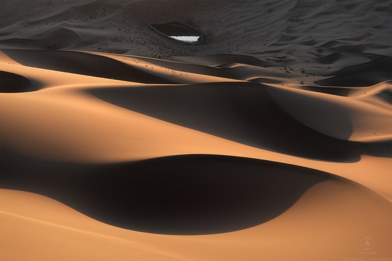 The Pearlphoto preview