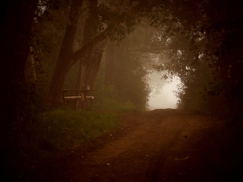 туман, лес, стол, дорога Дымно-туманное утроphoto preview