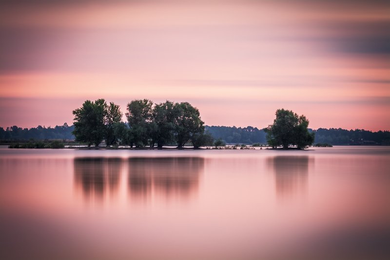 sunset, water, sky, cloud, reflection, lake, tree Trees on the waterphoto preview