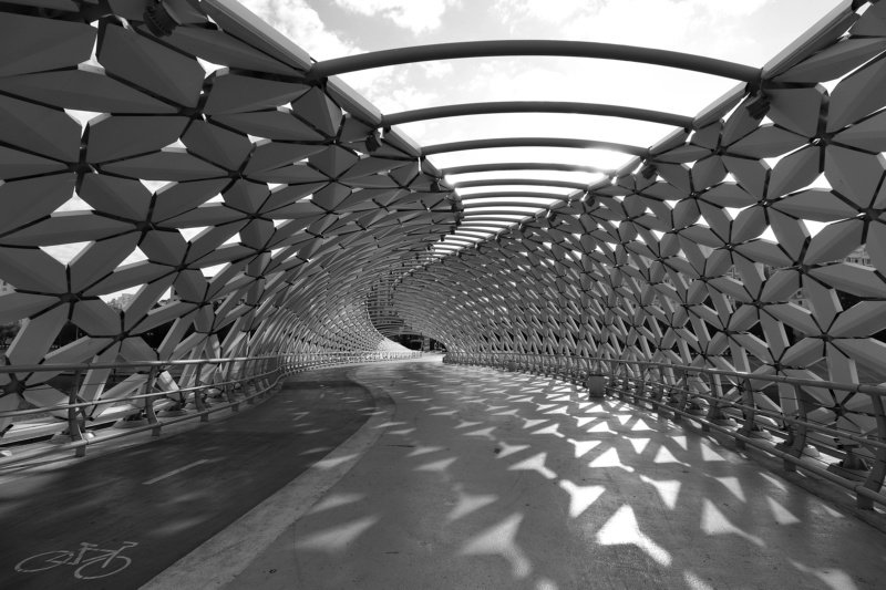 Цвет настроения ЧБ... фото превью