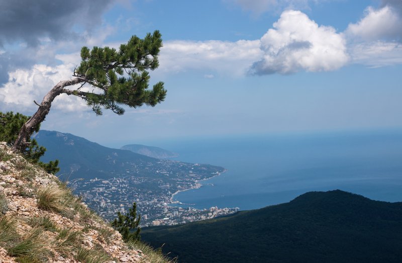 вид с плато ай-петри на г. аю-даг Парящая в облакахphoto preview