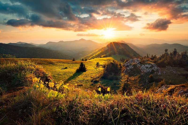 velka fatra, sunset, evening, mountain, meadow, rock, clouds, sky, flower, trees, hills, Velka Fatraphoto preview