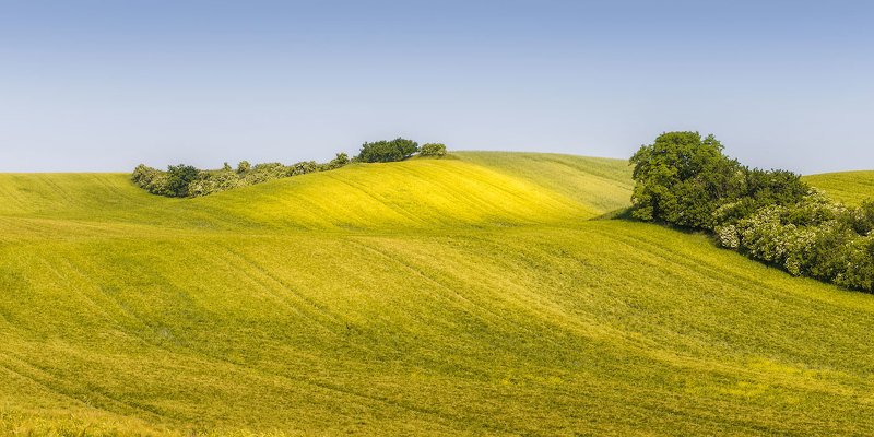 Коврыphoto preview