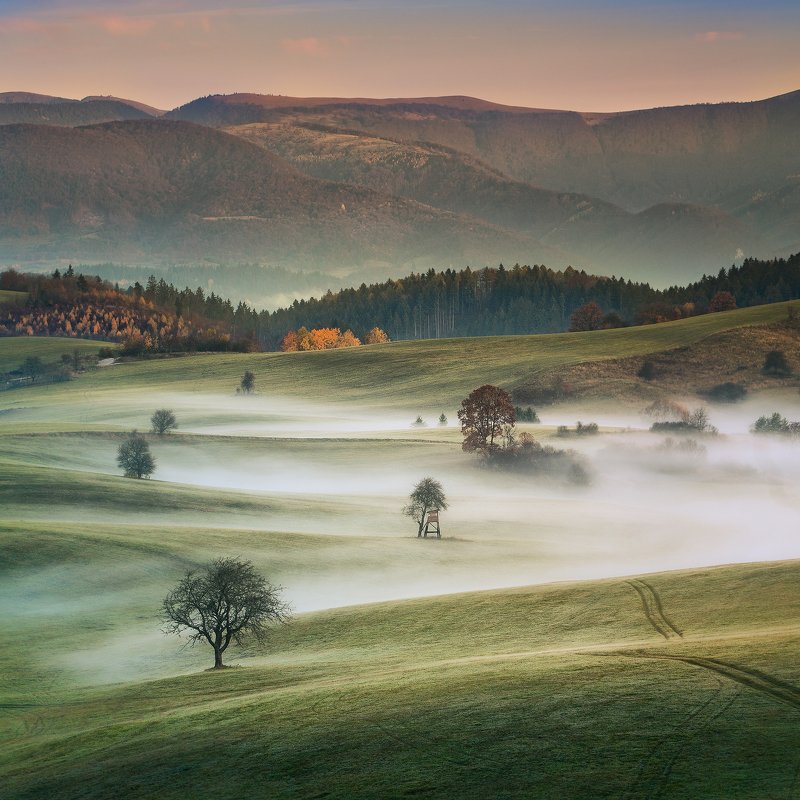 slovakia, morning, meadows, foggy, trees, mountain,  Foggy meadowsphoto preview