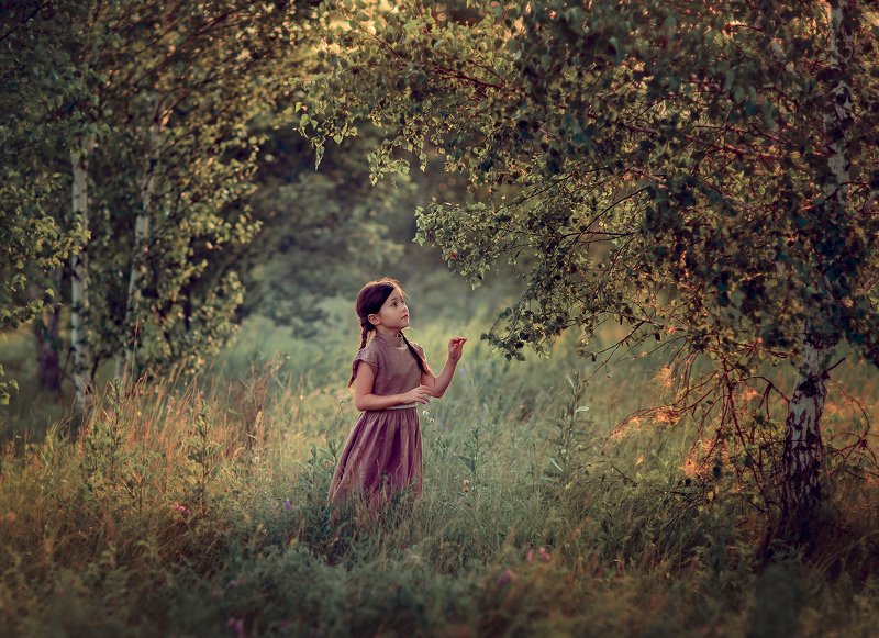 березкиphoto preview