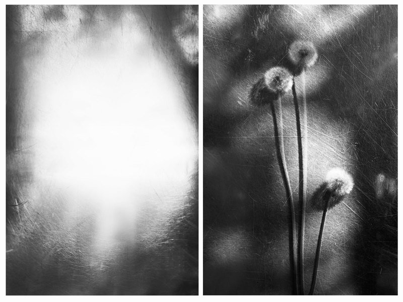 the thread /нить/ photo preview