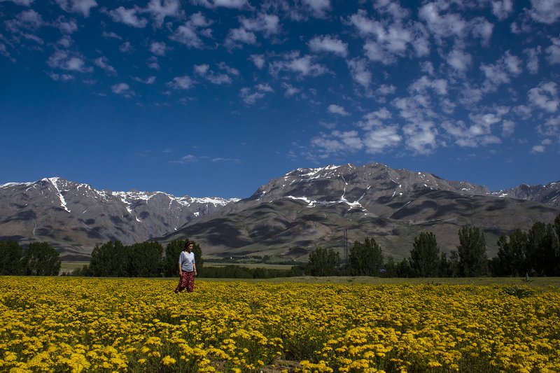 landscape,view,spring,art,travel,colors,dreams,freedom,passion,peace,clouds,mountains,photography, SPRINGphoto preview