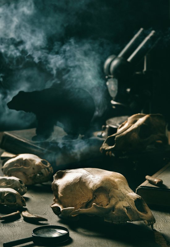 палеонтология, ископаемые, фантазия, наука, кости, череп, изучение, низкий ключ,  палеонтологияphoto preview