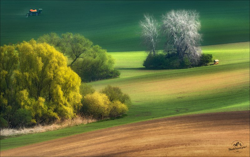 чехия, южная моравия, фототур в южную моравию, south moravia, czech, phototravel.pro По ту сторону весны ..photo preview