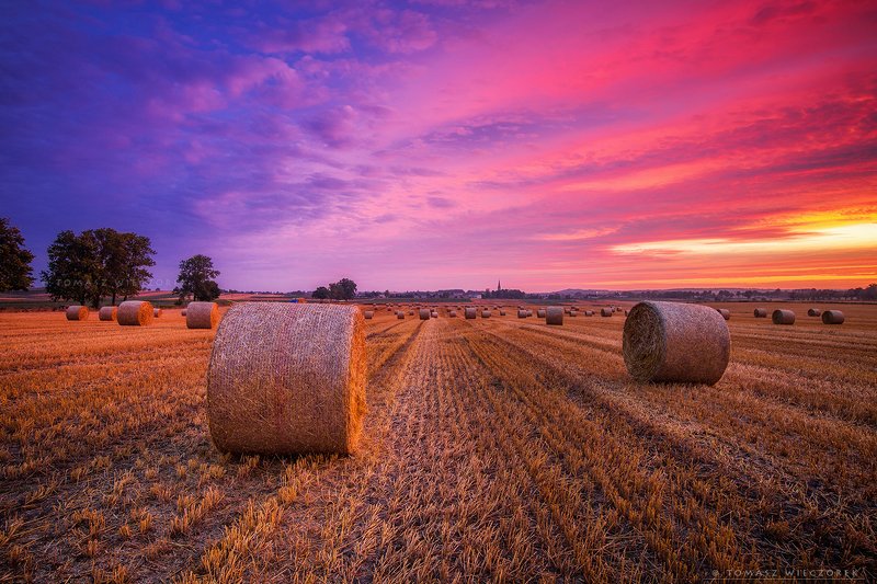 fields, poland, polish, landscape, sunrise, sunset, colours, spring, awesome, amazing, adventure, travel, beautiful, morning, grain Colours of sunrisephoto preview
