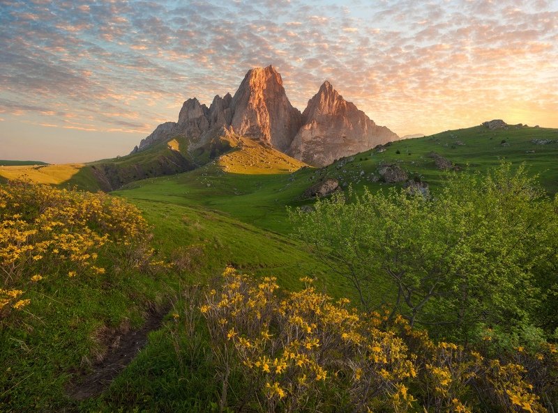 Цей-Лоамphoto preview