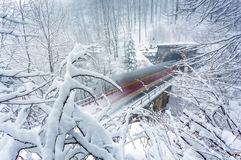 train, snow, winter, long exposure, motion, trees,white, tunel, Snow trainphoto preview