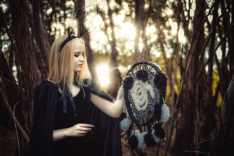 Музыка лесаphoto preview