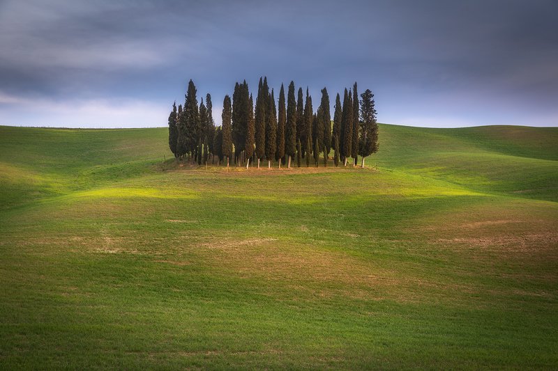 Guardians of Tuscanyphoto preview