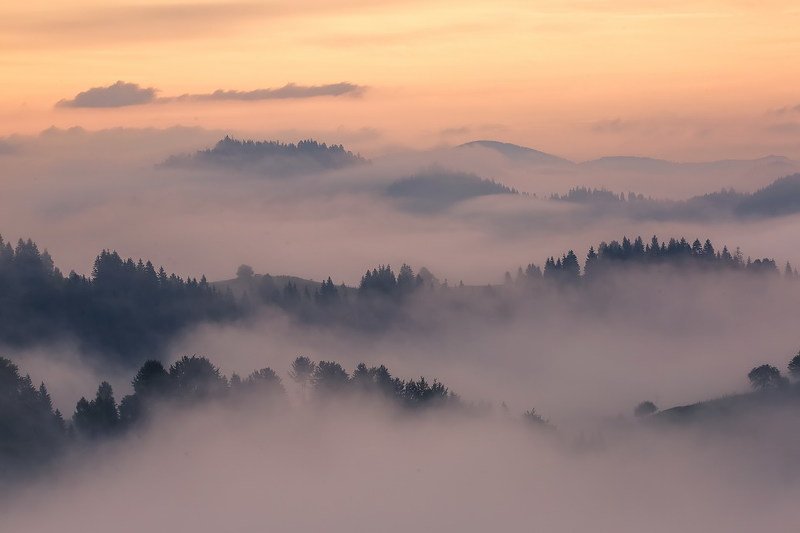 Карпаты.Красноилля.photo preview