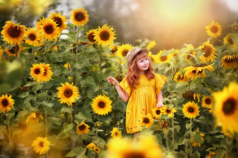 Солнечная Софиphoto preview