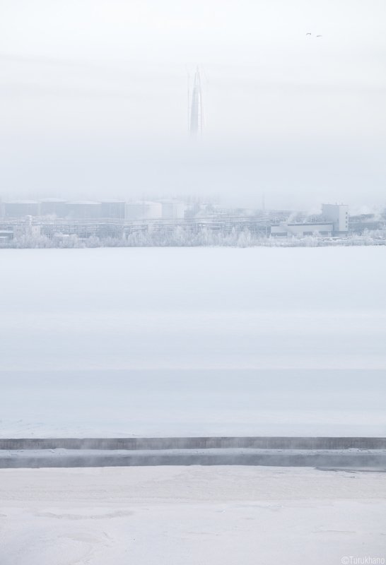 Вертикальphoto preview