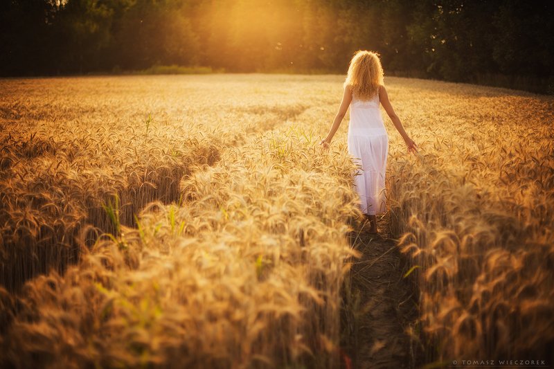 girl, woman, love, sunset, sunrise, light, sun, beautiful, portrait, polish, poland, sexy, body, summer, amazing, awesome, adventure, field, grain, touch Towards the sunphoto preview
